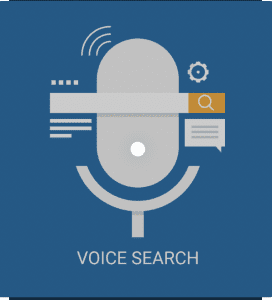 voice search optimization art