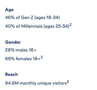 Pinterest audience demographic infographic